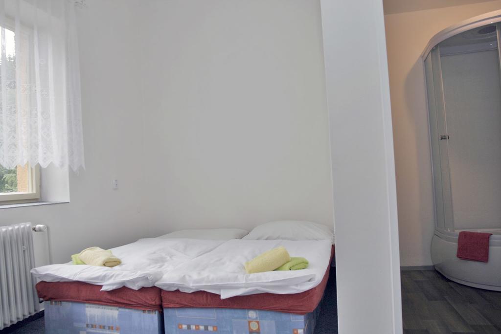 Sport Hotel Mustek Jáchymov Dış mekan fotoğraf